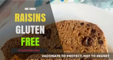 Are Dried Raisins Gluten-Free? A Clear and Simple Answer