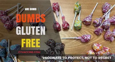 Are Dumb Dumbs Gluten Free? A Sweet Treat Investigation