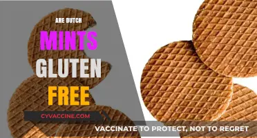Are Dutch Mints Gluten-Free? A Comprehensive Guide for Celiac Sufferers