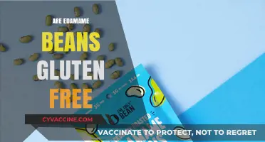 Are Edamame Beans Gluten-Free? A Comprehensive Guide for Celiacs