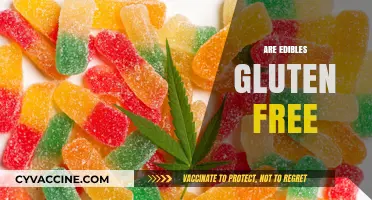 Are Edibles Gluten-Free? A Guide to Safe Cannabis Consumption