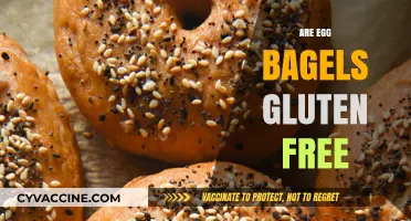 Are Egg Bagels Gluten-Free? A Complete Guide for Dietary Needs