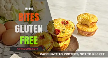 Are Egg Bites Gluten-Free? A Complete Guide to Ingredients and Options