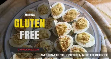 Are Eggs Gluten-Free? Unraveling the Truth for Celiac Diets