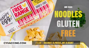 Are Egg Noodles Gluten-Free? A Clear Answer for Your Diet