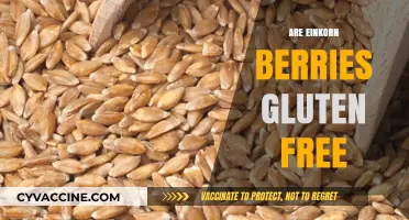 Are Einkorn Berries Gluten-Free? Unraveling the Ancient Grain Mystery