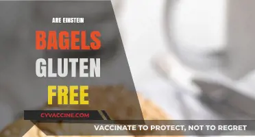 Are Einstein Bagels Gluten-Free? A Complete Guide for Celiac Eaters