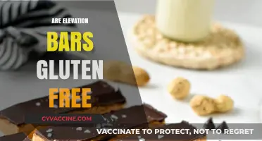 Are Elevation Bars Gluten-Free? A Comprehensive Guide for Snackers