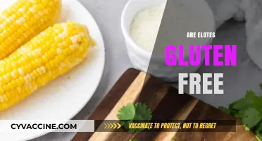 Are Elotes Gluten-Free? A Complete Guide to Mexican Street Corn