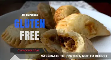 Are Empanadas Gluten-Free? A Complete Guide to Safe Options