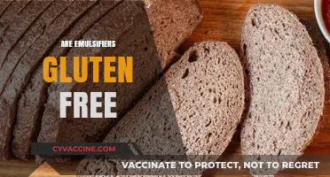 Are Emulsifiers Gluten-Free? Understanding Food Additives and Celiac Safety