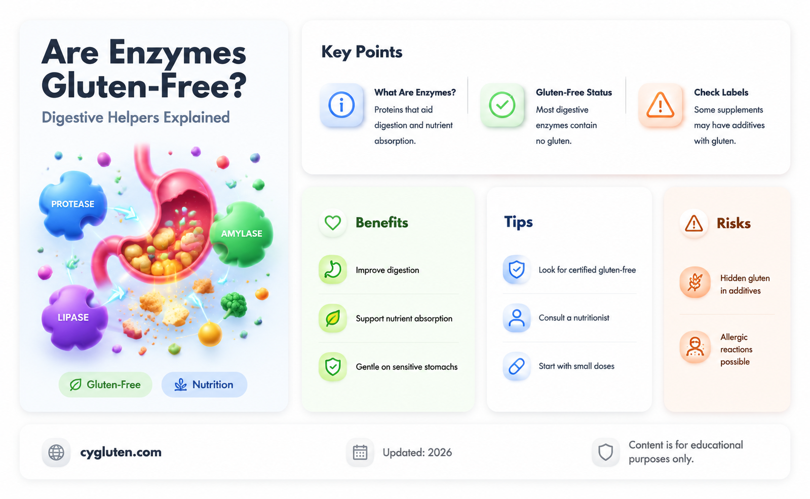 are enzymes gluten free