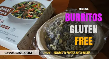 Are Evol Burritos Gluten-Free? A Complete Guide for Celiac Diets