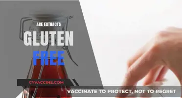 Are Extracts Gluten Free? A Comprehensive Guide to Safe Ingredients