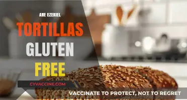 Are Ezekiel Tortillas Gluten-Free? A Complete Guide for Healthy Eating