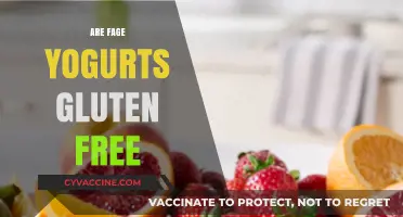 Are Fage Yogurts Gluten-Free? A Complete Guide for Celiacs