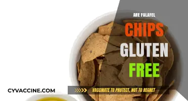 Are Falafel Chips Gluten-Free? A Crunchy Dietary Dilemma Explored