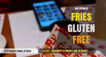 Are Fatboys Fries Gluten-Free? A Comprehensive Guide for Celiacs