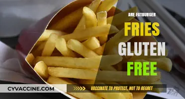 Are Fatburger Fries Gluten-Free? A Complete Guide for Celiac Diners