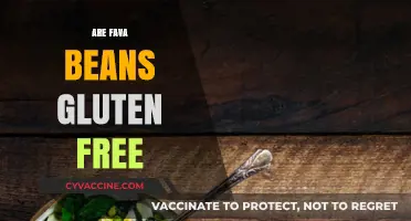 Are Fava Beans Gluten-Free? A Complete Guide for Celiac Diets