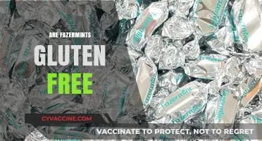 Are Fazer Mints Gluten-Free? A Complete Guide for Celiac Sufferers