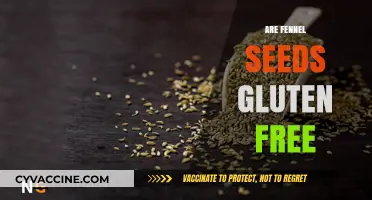 Are Fennel Seeds Gluten Free? A Complete Guide for Celiacs