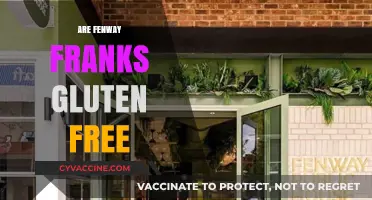 Are Fenway Franks Gluten-Free? A Guide for Celiac Fans