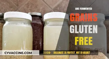 Fermented Grains and Gluten: Unraveling the Truth for a Healthy Diet