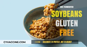 Are Fermented Soybeans Gluten-Free? A Comprehensive Guide for Dieters