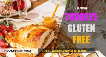 Festive Turkey Gluten-Free Guide: Safe Holiday Dining Tips