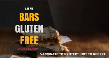 Are Fig Bars Gluten-Free? A Complete Guide for Snack Lovers