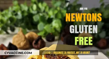 Are Fig Newtons Gluten-Free? Unraveling the Cookie Mystery