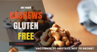 Are Fisher Cashews Gluten-Free? A Nut Lover's Guide