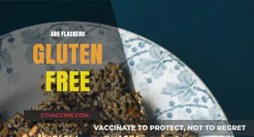 Are Flackers Gluten-Free? A Crunchy Seed Cracker Guide