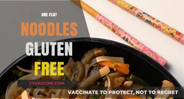 Are Flat Noodles Gluten-Free? Exploring Options for Celiac Diets