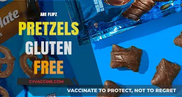 Are Flipz Pretzels Gluten-Free? A Crunchy Snack Fact Check