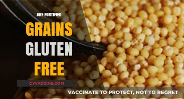 Are Fortified Grains Gluten-Free? A Comprehensive Guide for Celiacs