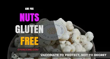 Are Fox Nuts Gluten-Free? Uncovering the Truth for Celiac Diets