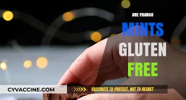 Are Frango Mints Gluten-Free? A Sweet Treat Investigation