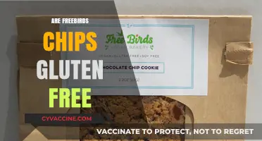 Are Freebirds Chips Gluten-Free? A Comprehensive Guide for Celiac Diners
