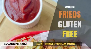 Are French Fries Gluten-Free? A Complete Guide to Safe Snacking