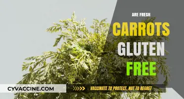 Are Fresh Carrots Gluten-Free? A Clear Answer for Your Diet