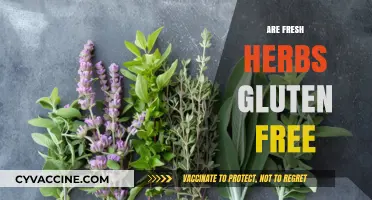 Are Fresh Herbs Gluten-Free? A Comprehensive Guide to Safe Eating