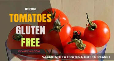 Are Fresh Tomatoes Gluten-Free? A Clear and Simple Answer