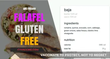 Are Freshii Falafel Gluten-Free? A Complete Guide for Dieters