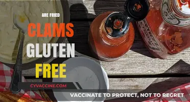 Are Fried Clams Gluten-Free? A Seafood Lover's Guide to Safe Eating