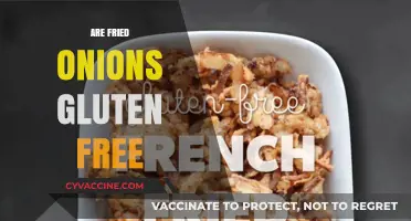 Are Fried Onions Gluten-Free? A Clear Answer for Celiac Diets