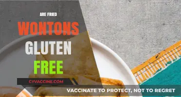 Are Fried Wontons Gluten-Free? Exploring Safe Options for Celiac Diets