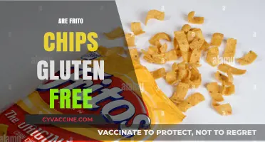 Are Frito Chips Gluten-Free? A Crunchy Snack Fact Check