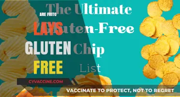 Are Frito-Lay Chips Gluten-Free? A Comprehensive Guide for Snackers